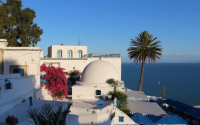 Tunis LETO 2024